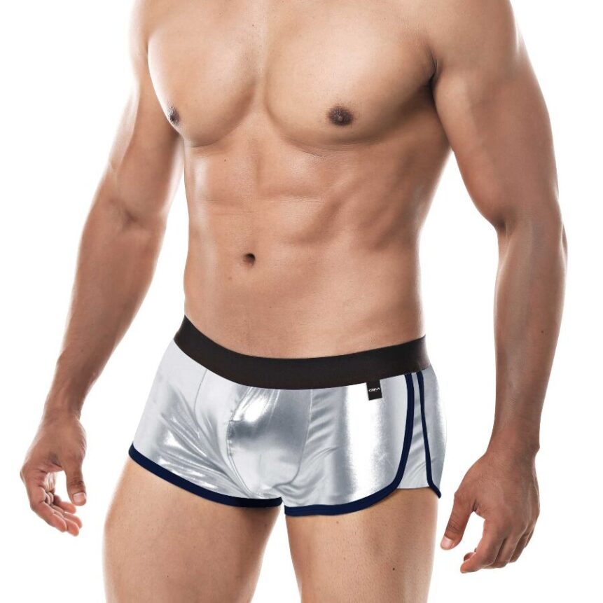 Boxer Silver