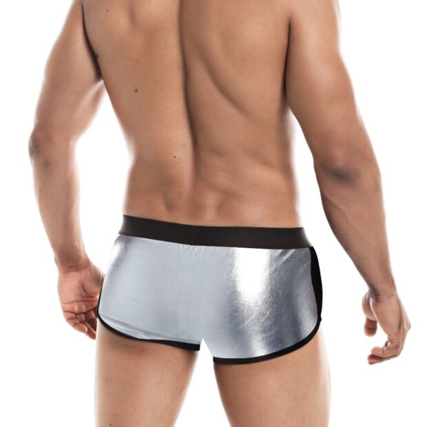 Boxer Silver