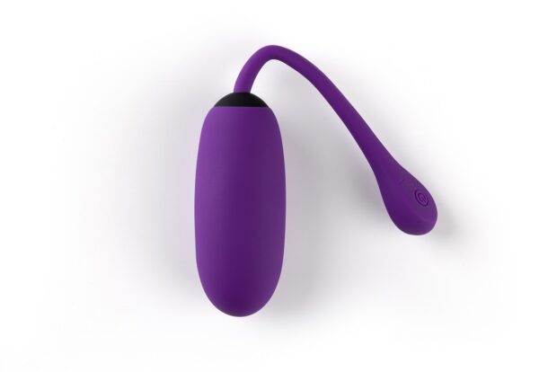 Zumba Purple huevo vibrador con mando